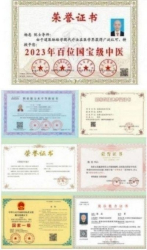 人民视窗官方网站特别报道 中华道医脉络学现代疗法创始人杨忠