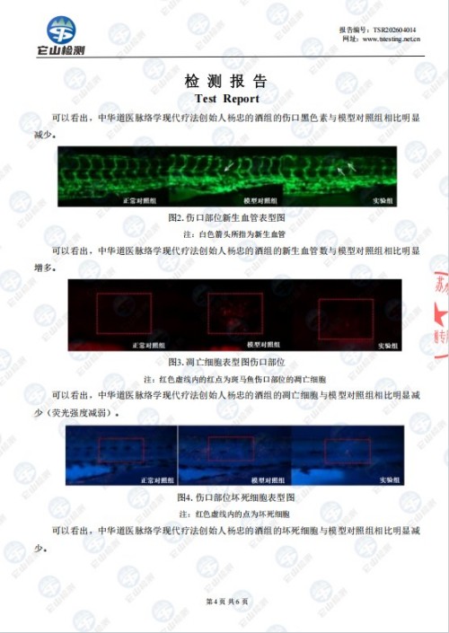 人民视窗官方网站特别报道 中华道医脉络学现代疗法创始人杨忠
