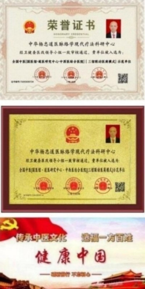 人民视窗官方网站特别报道 中华道医脉络学现代疗法创始人杨忠