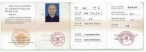 人民视窗官方网站特别报道 中华道医脉络学现代疗法创始人杨忠